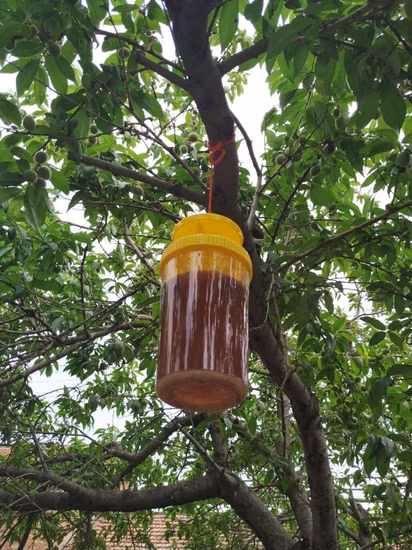 屋外プラスチック吊り下げミバエボトルトラップ庭用ハエ制御キャッチャー